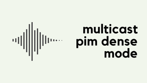 Multicast PIM Dense Mode (III)
