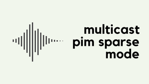 Multicast PIM Sparse Mode (IV)