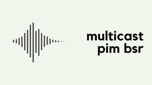 Multicast PIM Bootstrap Router (BSR) (VI)