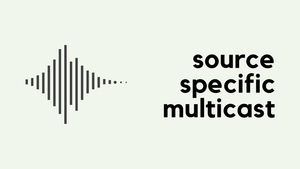 Source Specific Multicast (SSM) VII