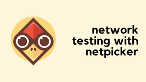 Testing Your Network with Netpicker