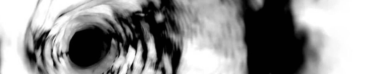 A Death in the Gov't District (I)