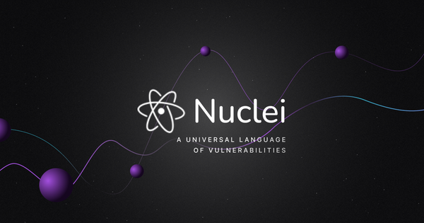 Nuclei vulnerabilities: Information Disclosure, Denial of Service