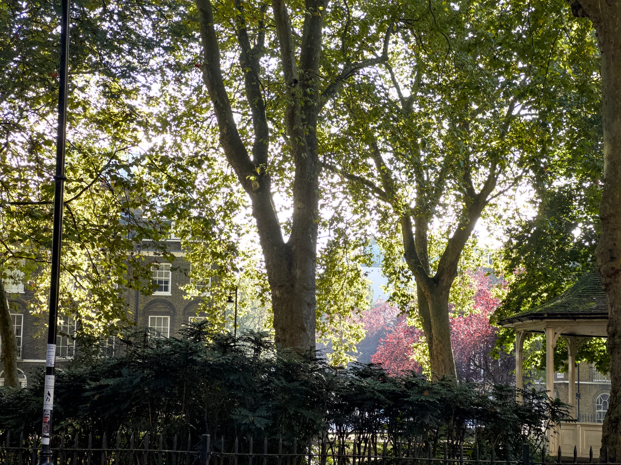 Northampton Square in the sun on an Autumn afternoon, with light filtering through the trees.