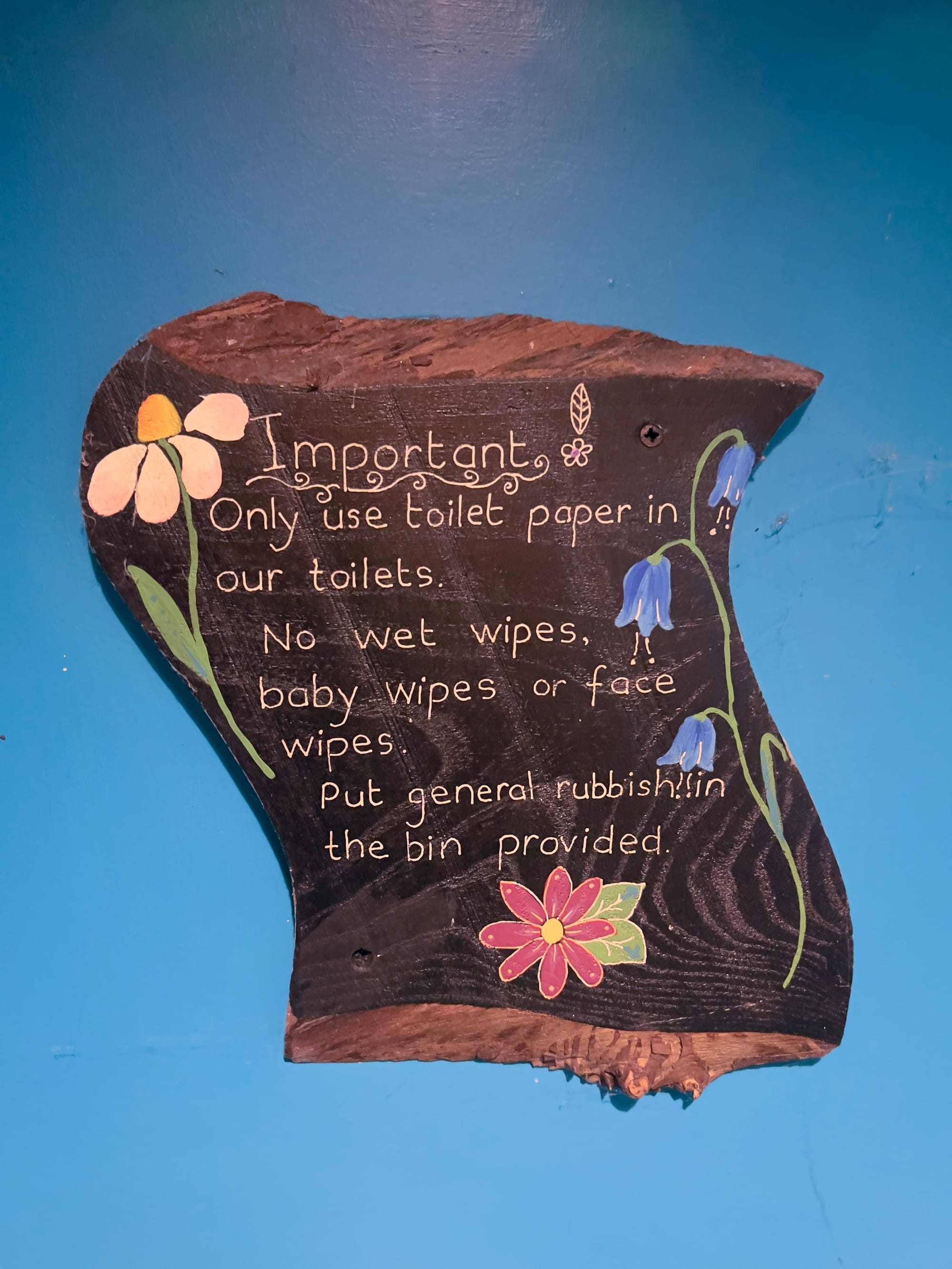 Hand-painted wooden sign on a blue wall with flowers, reading: “Important: Only use toilet paper in our toilets. No wet wipes, baby wipes or face wipes. Put general rubbish in the bin provided.