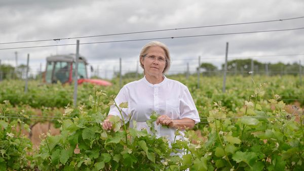 It's an ill wind that blows no good - Irish wine...