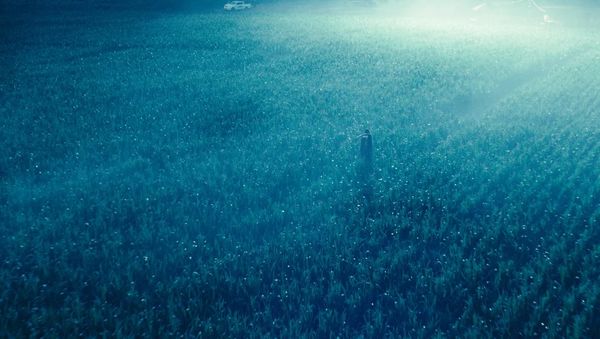 The Animal Kingdom — Thomas Cailley