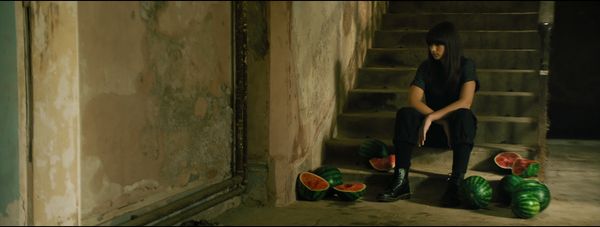 Boston Palestine Film Festival (2023) Dispatch 2: Memories of the Land