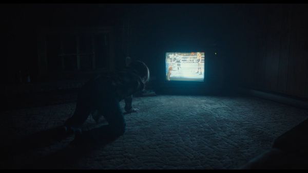 My Animal Makes for a Captivating Debut