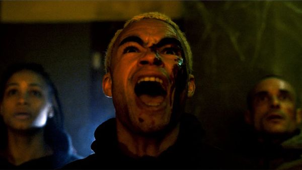 Buff Review: Infested (2023) dir. Sébastien Vaniček