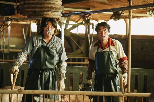 “Glorious” and “Gloomy”: The Drug King and President Park Chung-hee