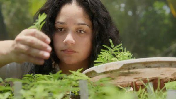 And Still The Seed (Todavia La Semilla)