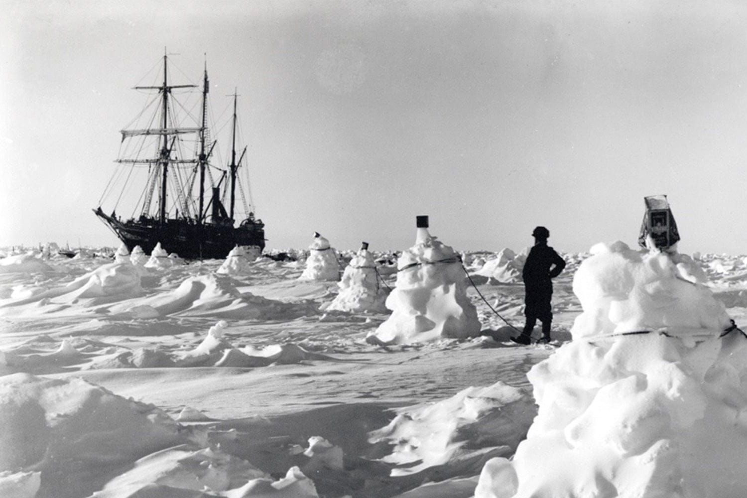 Friends, Enemies, Quolls & Ice