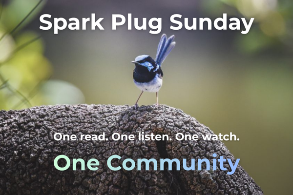 Weather watching. Food selling. Art making. Spotlighting Shoalhaven's community.