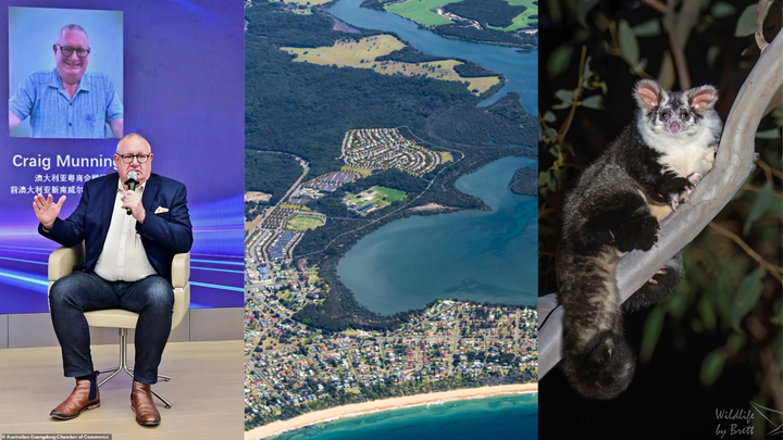 Convicted paedophile a lobbyist for contentious NSW South Coast developments