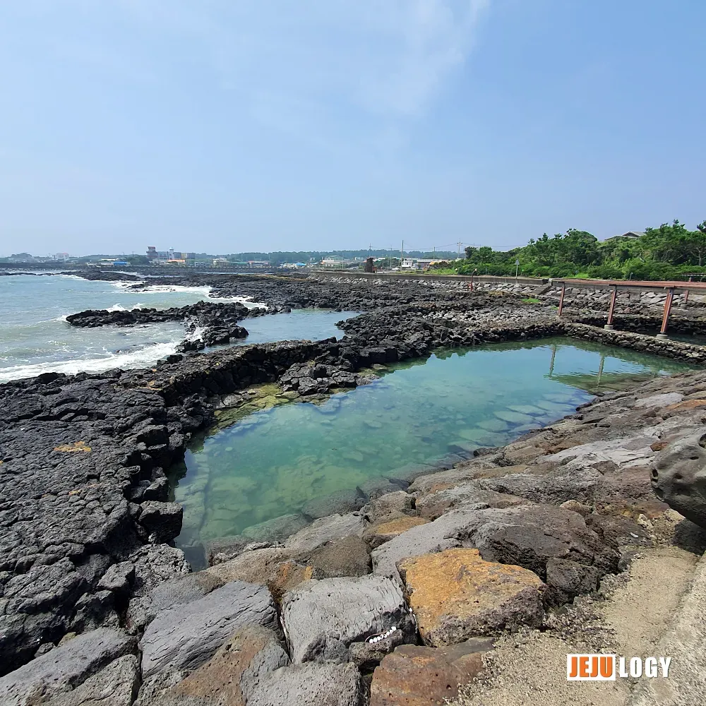 [5] Volcanic basalt and shallow tide pools — the same rough coast that the haenyeo have worked for generations. — webp_20200804_112618.webp