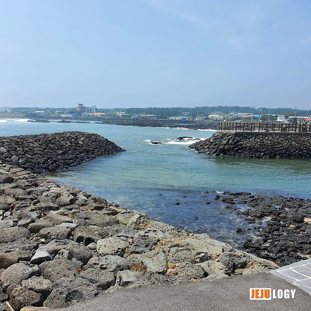 Onpyeong-dong Port: A Quiet Harbor at the Eastern Edge of Jeju