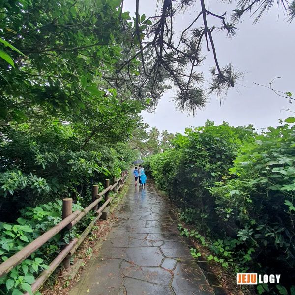 A Day Walking Near Dombenang-gol on Jeju Olle Trail 7