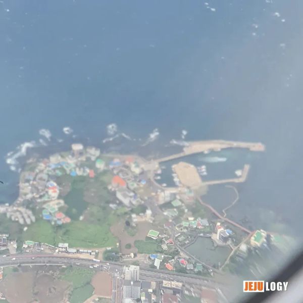 Aerial view of Maimot, a brackish coastal wetland on Jeju's northwest coast