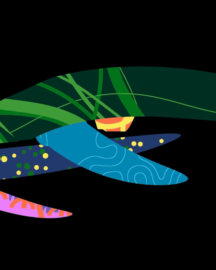 illo for The Nature Conservancy