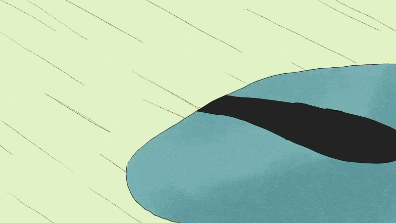 Giuliano Buttafuoco for Adult Swim x Toonami
