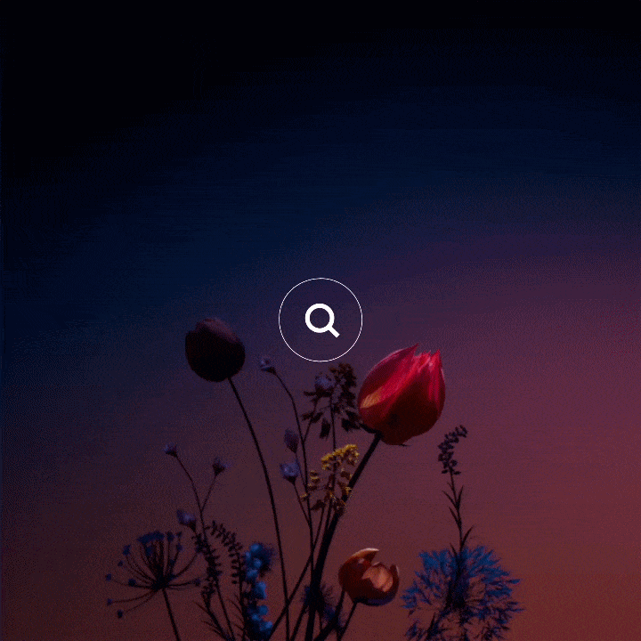 Joey Phinn for Squarespace