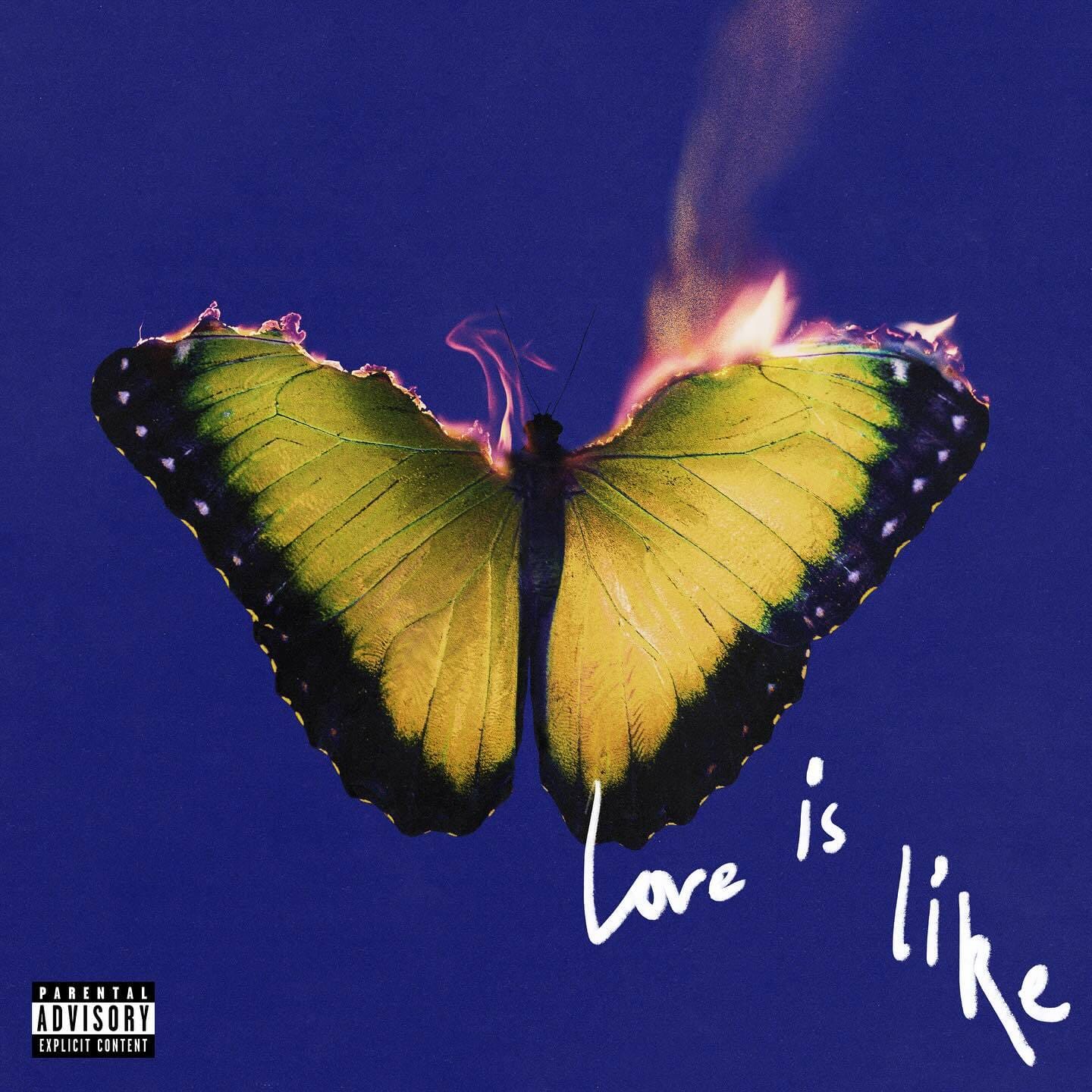 Mat Maitland for Maroon 5
