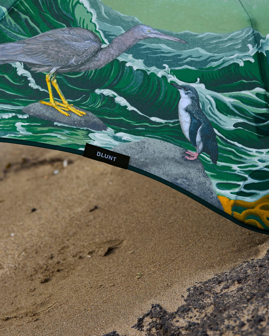 Tanya Wolfkamp for BLUNT x Forest & Bird
