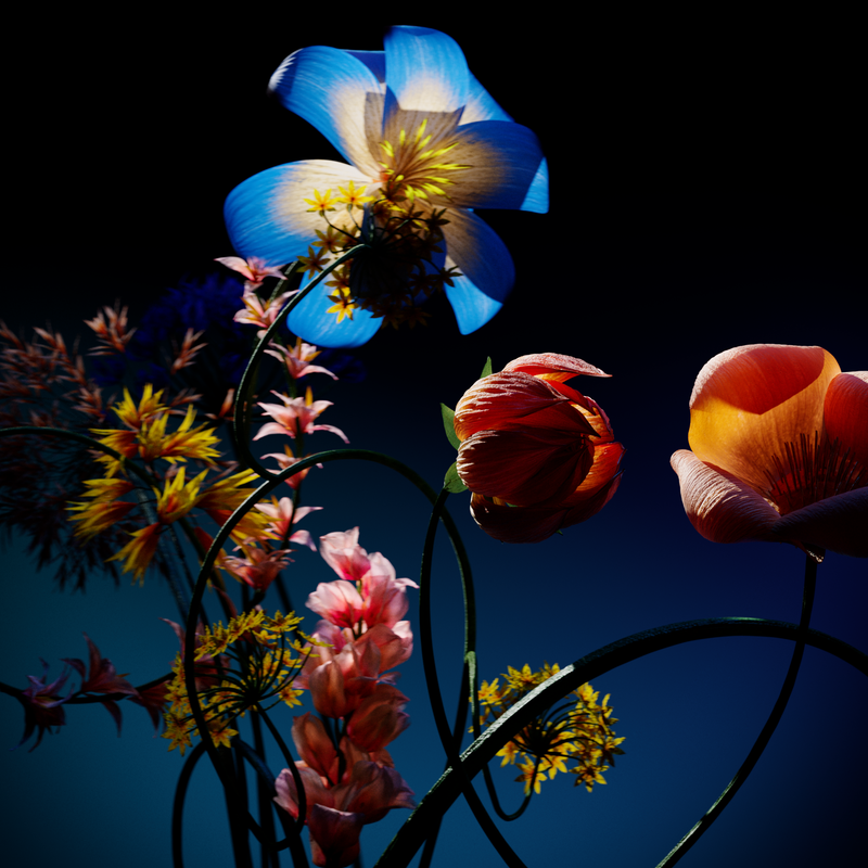 Joey Phinn for Squarespace
