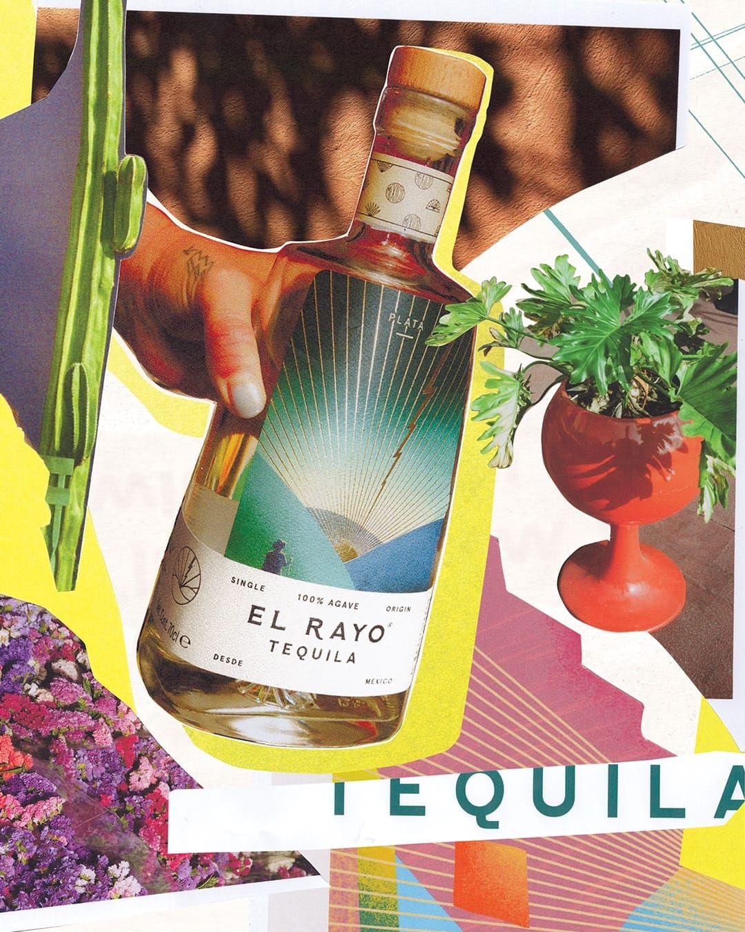Alice Isaac for El Rayo