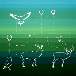 Integrating Sensor Data for Animal Behavior Analysis