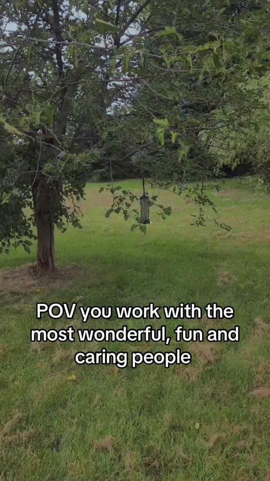 A backyard with a hanging bird feeder and green trees, with on-screen text reading: POV you work with the most wonderful, fun and caring people.