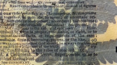 notes-from-the-field