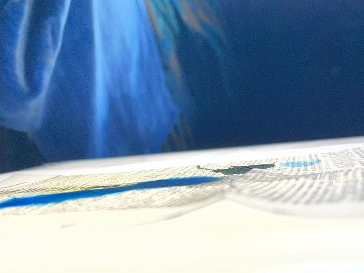 Low-angle photograph of layered translucent paper, vintage text, blue pigment, and a pressed clover emerging from soft focus and shadow.