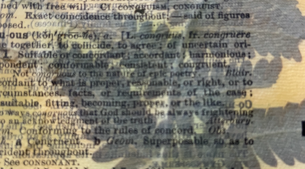 Close-up of layered vintage dictionary text on translucent paper, with the word “congruous” partially visible beneath botanical silhouettes, shadow, and soft translucency.