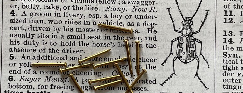 Dictionary page with insect line art, background. Smattering of brass escutcheon pins, foreground. 