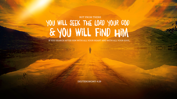 VOTD - Deuteronomy 4:29