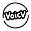 Voicv AI