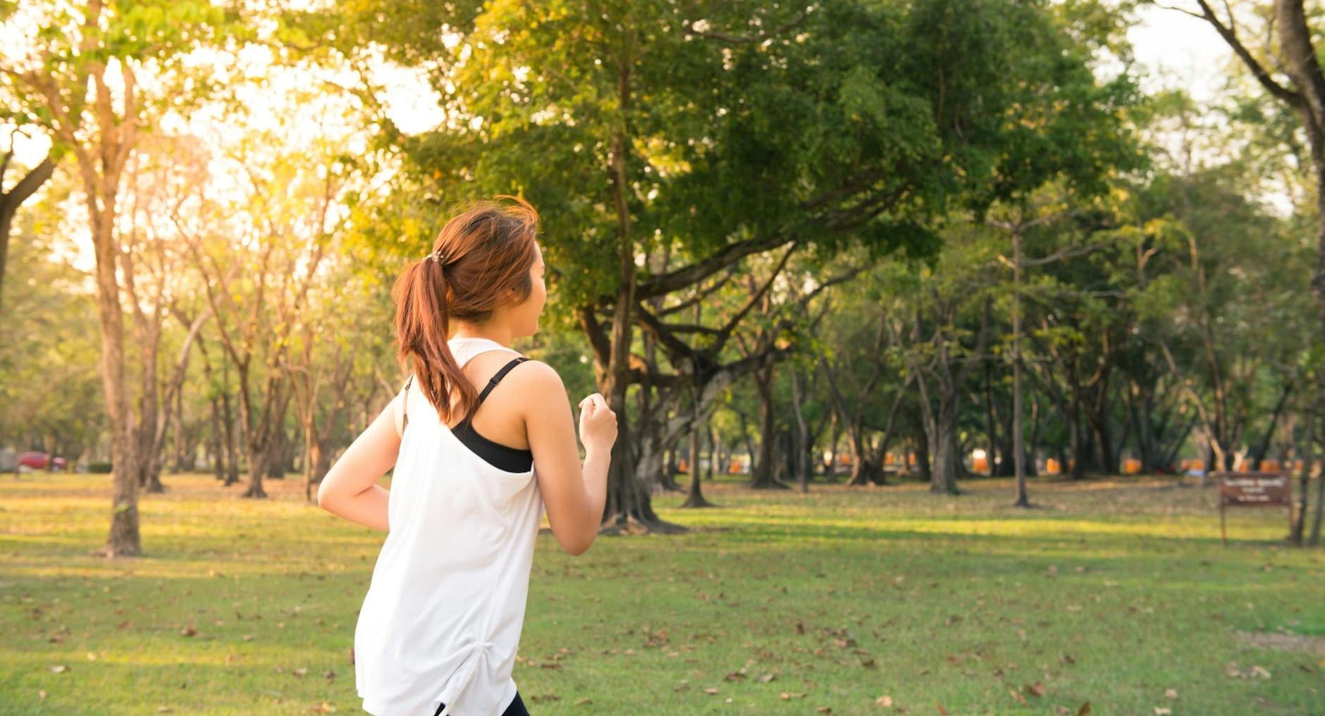 A woman jogging through a forest park in the early morning sunshine, enjoying a healthy lifestyle.