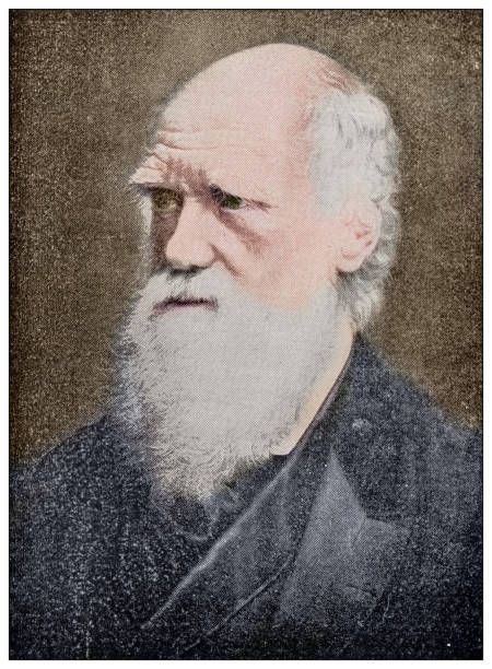 From tiny cells to a colossal human: Charles Darwin’s Theory of Evolution