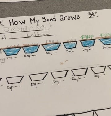 A paper with a chart of seeding

AI-generated content may be incorrect.
