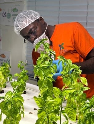 A person wearing a mask and gloves looking at plants

AI-generated content may be incorrect.