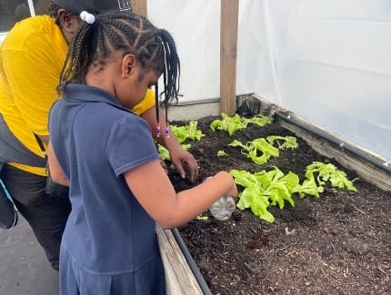 A child planting a plant in a greenhouse

AI-generated content may be incorrect.