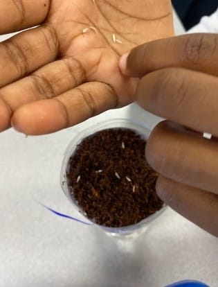 A person measuring a hand

AI-generated content may be incorrect.