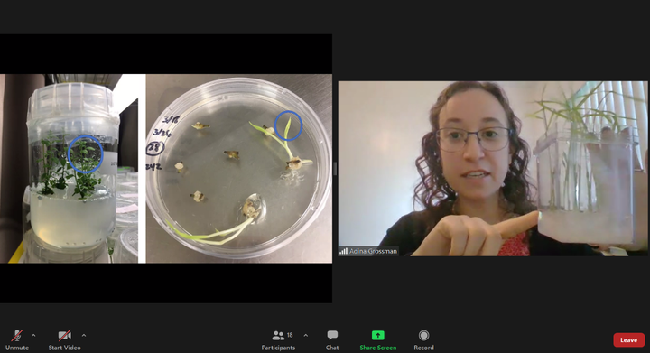Youth in Out-of-School Time Programs Meet Real Life Scientists