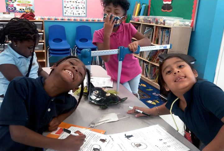 Youth Become Sea Turtle Biologists in Afterschool