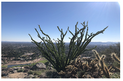 Diamond View