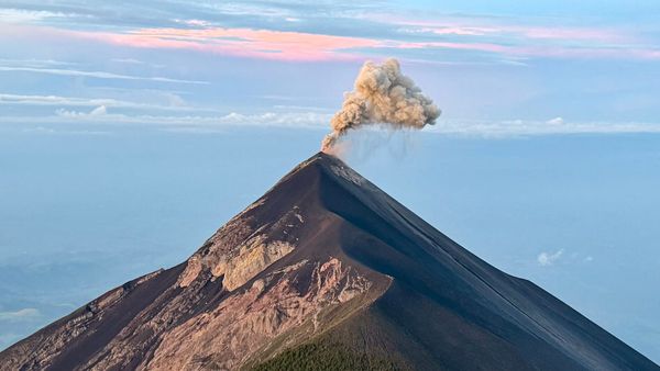 The Business of Awe