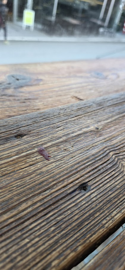 Comptoir sale chez Green Van