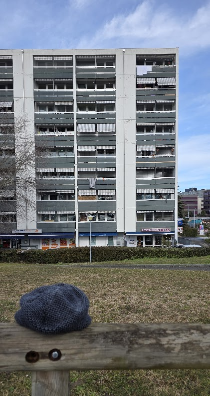 Immeuble gris à Renens